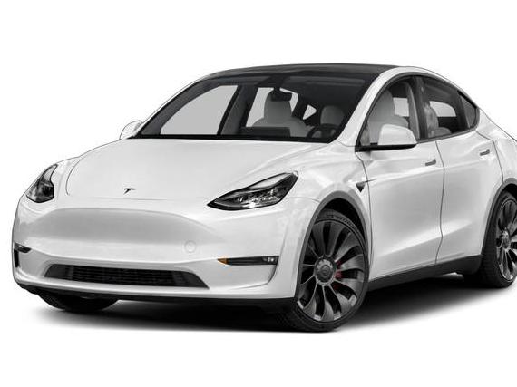 TESLA MODEL Y 2021 5YJYGDEE8MF073795 image